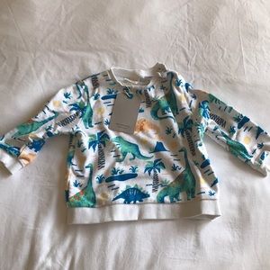 Zara dinosaur sweatshirt